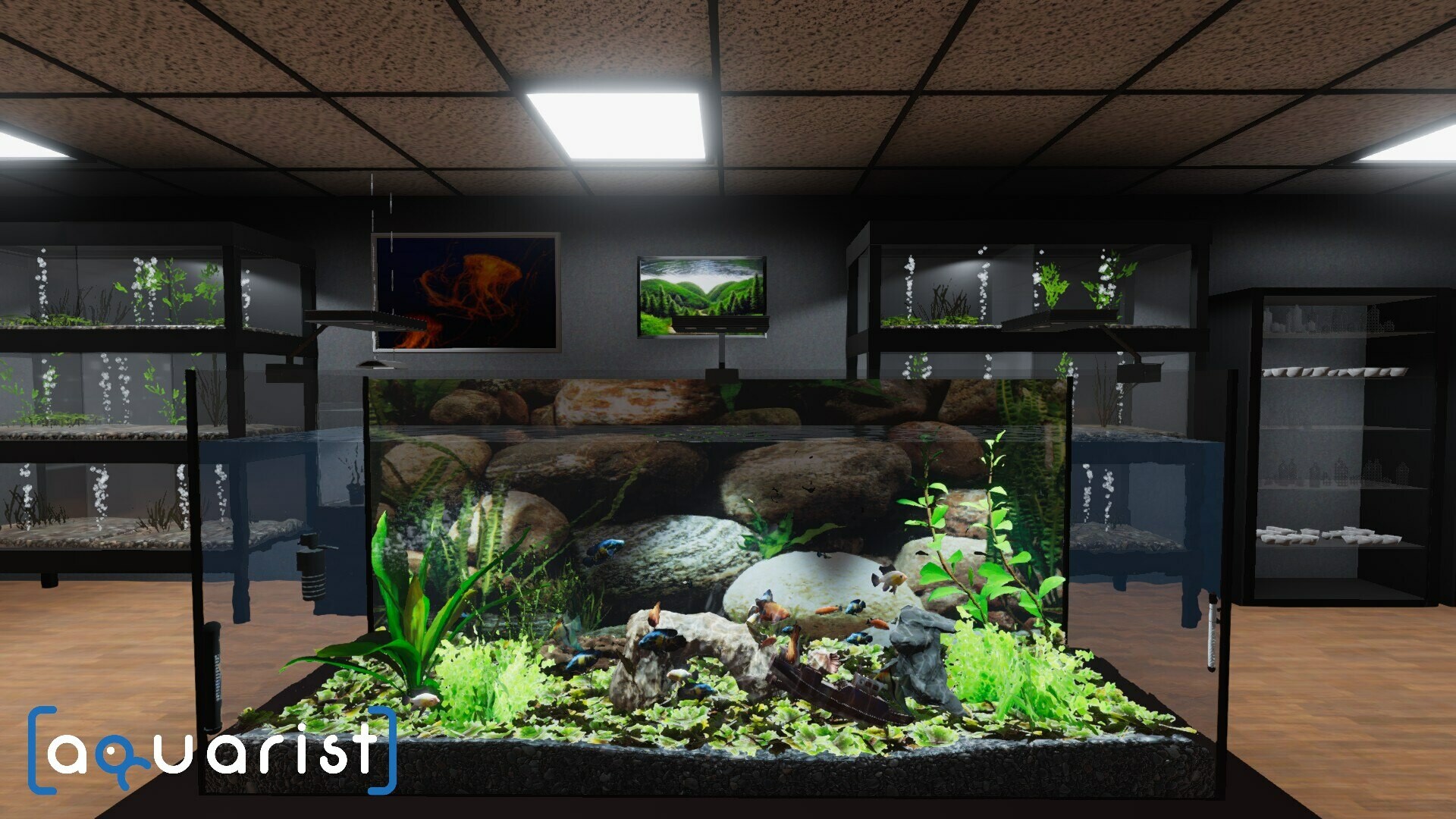 Aquarist - 建造水族馆，养鱼，发展你的事业！