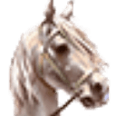 骑马与砍杀2：霸主/Mount & Blade II: Bannerlord||